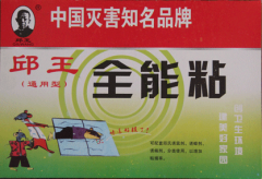 通用型誘鼠粘板